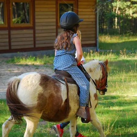Nad Jeziorem Domek letniskowy *