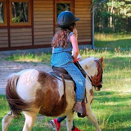 Lodge Nad Jeziorem Studzienice